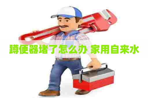 蹲便器堵了怎么办 家用自来水