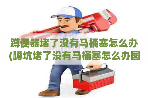 蹲便器堵了没有马桶塞怎么办(蹲坑堵了没有马桶塞怎么办图解)