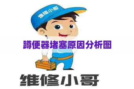 蹲便器堵塞原因分析图