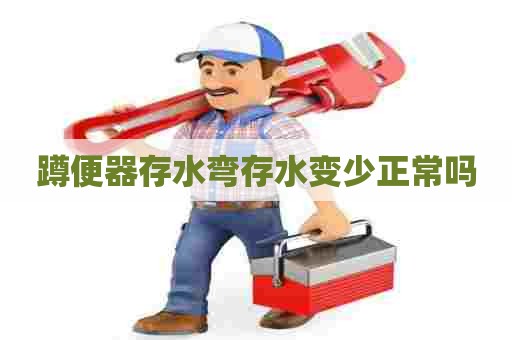 蹲便器存水弯存水变少正常吗