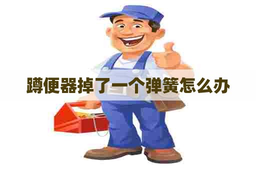 蹲便器掉了一个弹簧怎么办