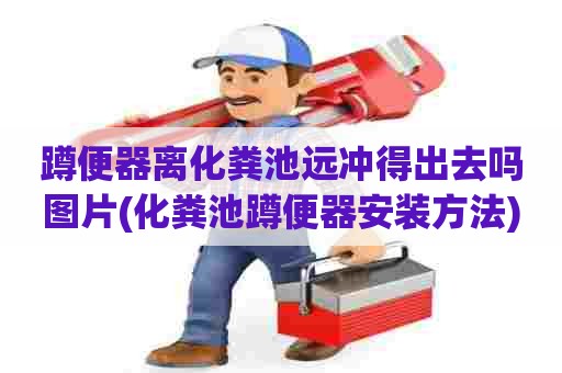 蹲便器离化粪池远冲得出去吗图片(化粪池蹲便器安装方法) 蹲便器离化粪池远冲得出去吗图片(化粪池蹲便器安装方法)