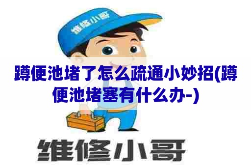 蹲便池堵了怎么疏通小妙招(蹲便池堵塞有什么办-)