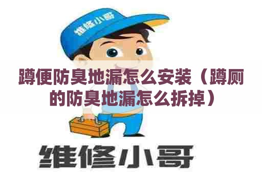 蹲便防臭地漏怎么安装（蹲厕的防臭地漏怎么拆掉）