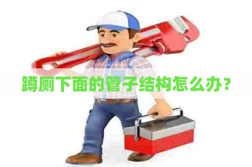 蹲厕下面的管子结构怎么办？