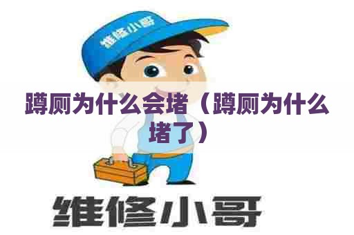 蹲厕为什么会堵(蹲厕为什么堵了) 蹲厕为什么会堵(蹲厕为什么堵了)