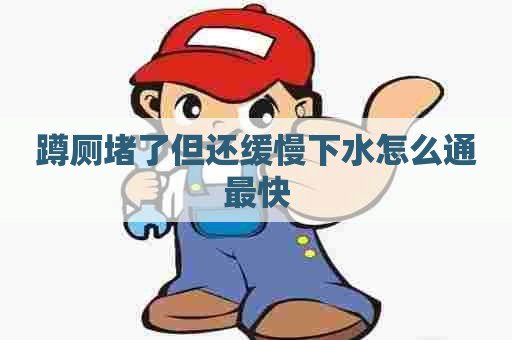 蹲厕堵了但还缓慢下水怎么通最快