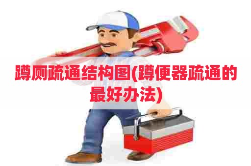 蹲厕疏通结构图(蹲便器疏通的最好办法) 蹲厕疏通结构图(蹲便器疏通的最好办法)