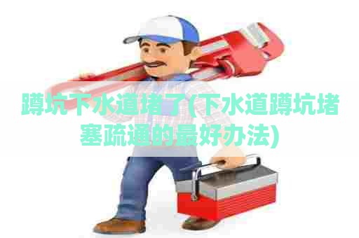 蹲坑下水道堵了(下水道蹲坑堵塞疏通的最好办法)