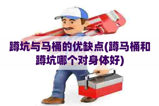 蹲坑与马桶的优缺点(蹲马桶和蹲坑哪个对身体好) 蹲坑与马桶的优缺点(蹲马桶和蹲坑哪个对身体好)