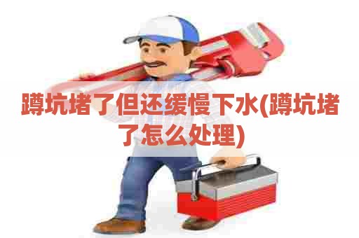 蹲坑堵了但还缓慢下水(蹲坑堵了怎么处理)