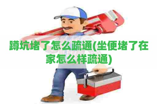 蹲坑堵了怎么疏通(坐便堵了在家怎么样疏通)