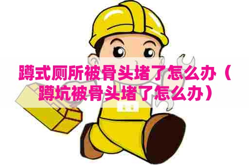 蹲式厕所被骨头堵了怎么办(蹲坑被骨头堵了怎么办) 蹲式厕所被骨头堵了怎么办(蹲坑被骨头堵了怎么办)