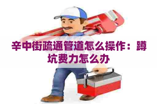 辛中街疏通管道怎么操作:蹲坑费力怎么办 辛中街疏通管道怎么操作:蹲坑费力怎么办