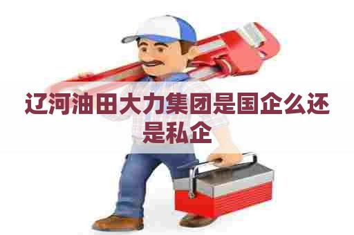 辽河油田大力集团是国企么还是私企