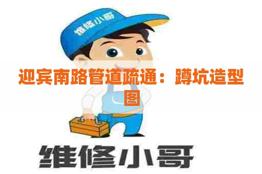 迎宾南路管道疏通：蹲坑造型图