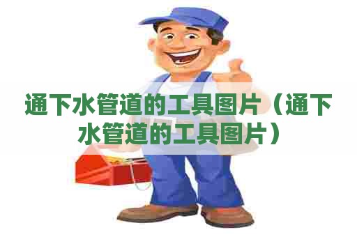 通下水管道的工具图片（通下水管道的工具图片）