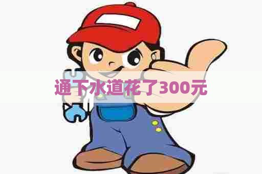 通下水道花了300元