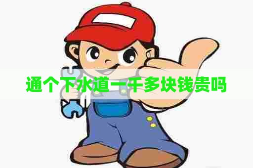 通个下水道一千多块钱贵吗
