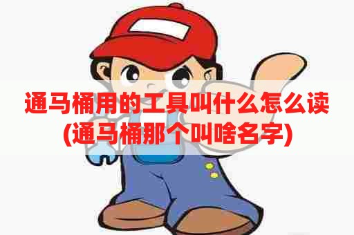 通马桶用的工具叫什么怎么读(通马桶那个叫啥名字)