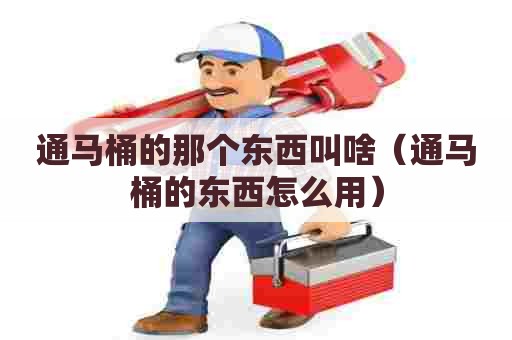 通马桶的那个东西叫啥（通马桶的东西怎么用）