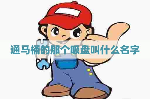 通马桶的那个吸盘叫什么名字