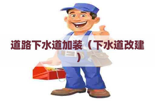 道路下水道加装(下水道改建) 道路下水道加装(下水道改建)