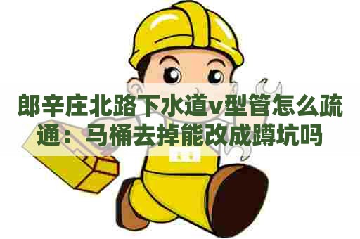 郎辛庄北路下水道v型管怎么疏通：马桶去掉能改成蹲坑吗