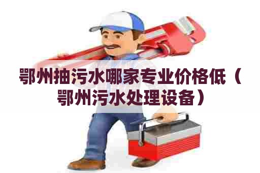 鄂州抽污水哪家专业价格低（鄂州污水处理设备）