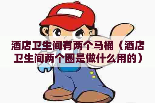 酒店卫生间有两个马桶（酒店卫生间两个圈是做什么用的）