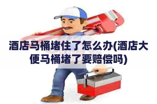 酒店马桶堵住了怎么办(酒店大便马桶堵了要赔偿吗) 酒店马桶堵住了怎么办(酒店大便马桶堵了要赔偿吗)