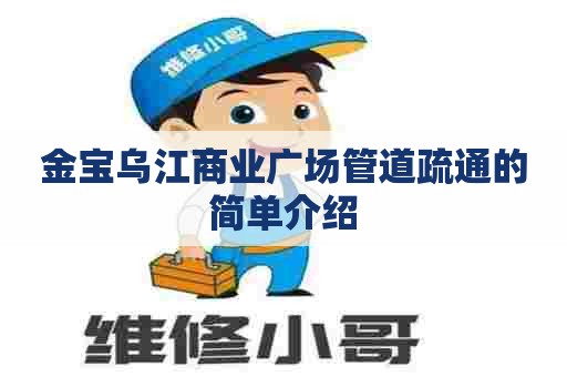 金宝乌江商业广场管道疏通的简单介绍 金宝乌江商业广场管道疏通的简单介绍
