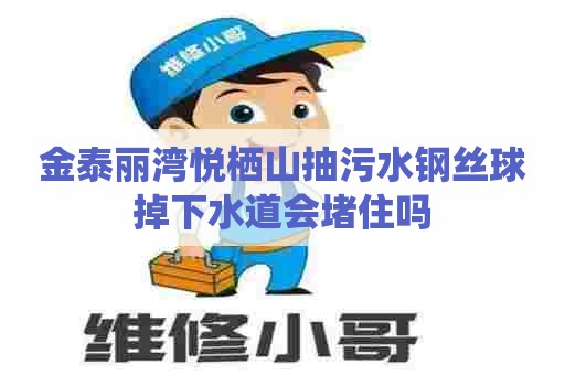 金泰丽湾悦栖山抽污水钢丝球掉下水道会堵住吗