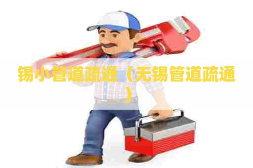 锡小管道疏通(无锡管道疏通) 锡小管道疏通(无锡管道疏通)