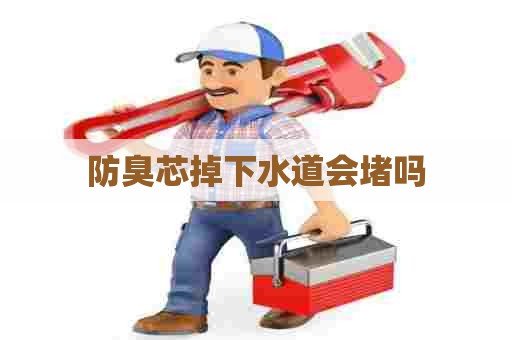 防臭芯掉下水道会堵吗