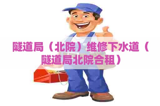 隧道局(北院)维修下水道(隧道局北院合租) 隧道局(北院)维修下水道(隧道局北院合租)