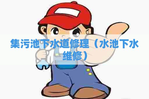 集污池下水道修理(水池下水维修) 集污池下水道修理(水池下水维修)