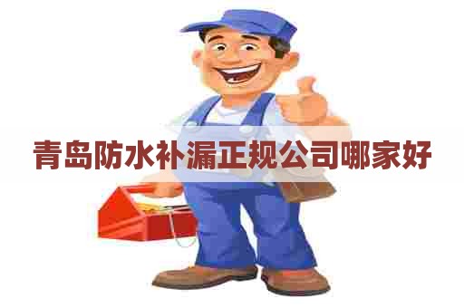 青岛防水补漏正规公司哪家好