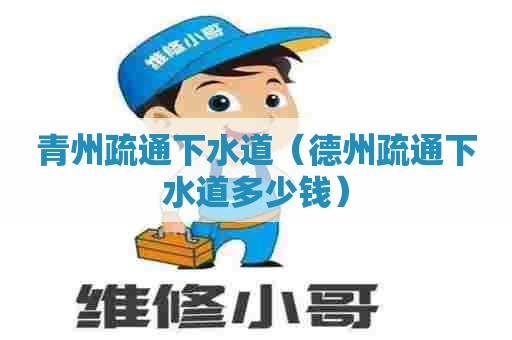 青州疏通下水道（德州疏通下水道多少钱）