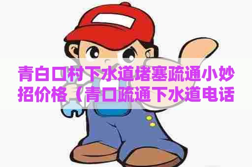 青白口村下水道堵塞疏通小妙招价格（青口疏通下水道电话）