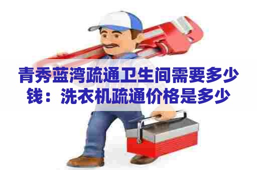 青秀蓝湾疏通卫生间需要多少钱:洗衣机疏通价格是多少 青秀蓝湾疏通卫生间需要多少钱:洗衣机疏通价格是多少