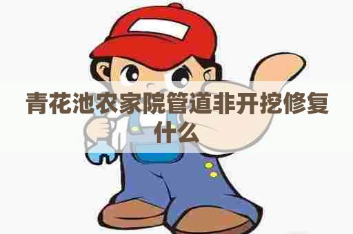 青花池农家院管道非开挖修复什么