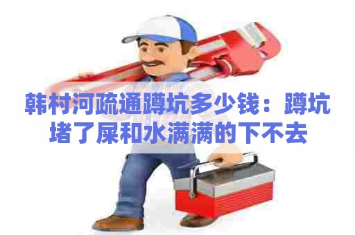 韩村河疏通蹲坑多少钱:蹲坑堵了屎和水满满的下不去 韩村河疏通蹲坑多少钱:蹲坑堵了屎和水满满的下不去