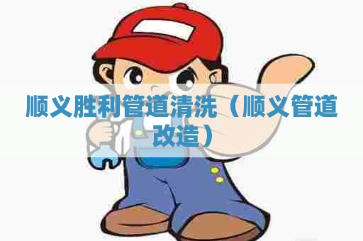 顺义胜利管道清洗(顺义管道改造) 顺义胜利管道清洗(顺义管道改造)