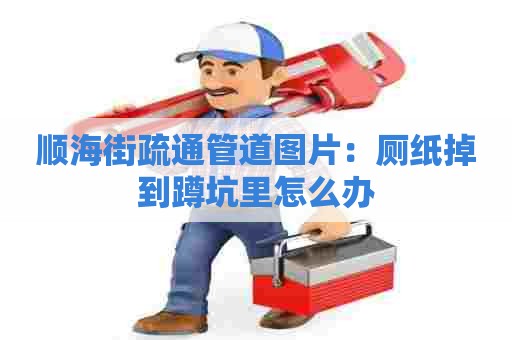 顺海街疏通管道图片:厕纸掉到蹲坑里怎么办 顺海街疏通管道图片:厕纸掉到蹲坑里怎么办