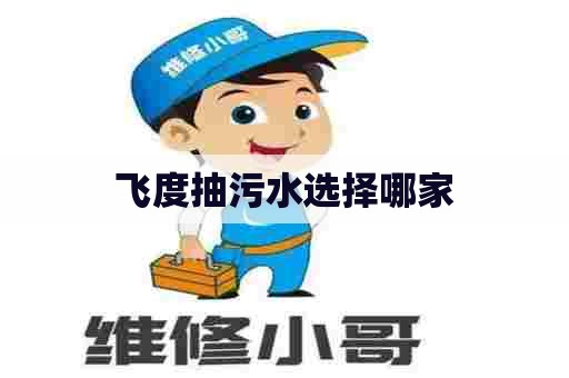 飞度抽污水选择哪家