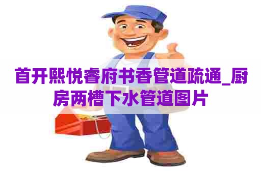 首开熙悦睿府书香管道疏通_厨房两槽下水管道图片 首开熙悦睿府书香管道疏通_厨房两槽下水管道图片