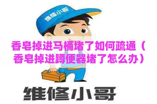 香皂掉进马桶堵了如何疏通(香皂掉进蹲便器堵了怎么办) 香皂掉进马桶堵了如何疏通(香皂掉进蹲便器堵了怎么办)