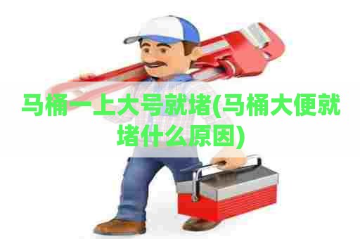 马桶一上大号就堵(马桶大便就堵什么原因)