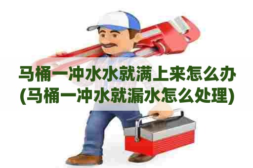 马桶一冲水水就满上来怎么办(马桶一冲水就漏水怎么处理) 马桶一冲水水就满上来怎么办(马桶一冲水就漏水怎么处理)